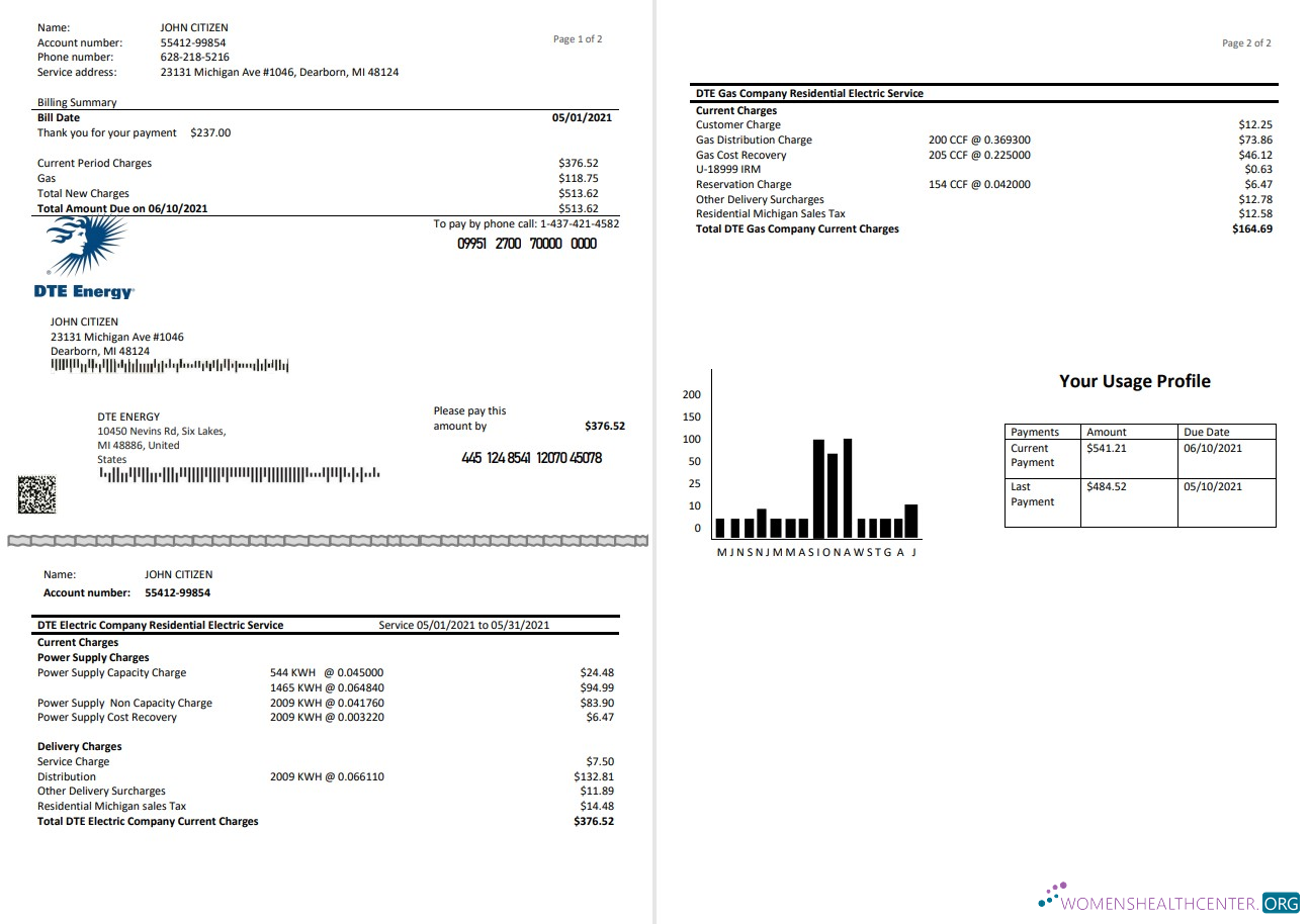 download download USA DTE Energy utility bill template in Word and PDF format (2 pages) PDF template PDF template